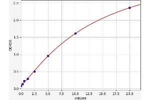 Sorbitol Dehydrogenase (SORD) ELISA Kit