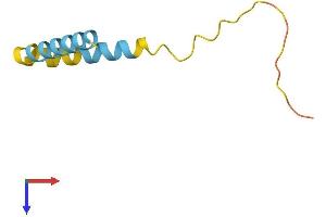 AlphaFold protein structure predicition of Human Recombinant LINC01549 Protein, UniprotID A6NIU2