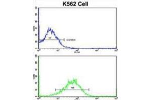 Flow Cytometry (FACS) image for anti-Secreted Frizzled-Related Protein 5 (SFRP5) antibody (ABIN3002916) (SFRP5 antibody)