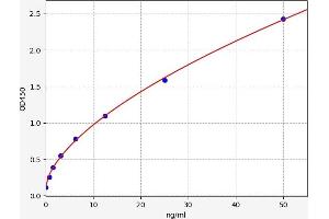 Typical standard curve (CNN2 ELISA Kit)