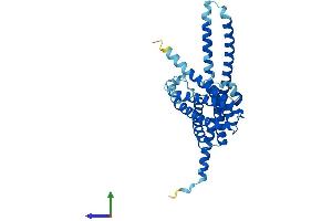 AlphaFold protein structure predicition of Mouse Recombinant Tmem120a Protein, UniprotID Q8C1E7 (TMEM120A Protein (AA 1-343) (His tag))