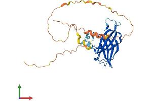 AlphaFold protein structure predicition of Mouse Recombinant Rims4 Protein, UniprotID P60191 (RIMS4 Protein (AA 1-269) (His tag))