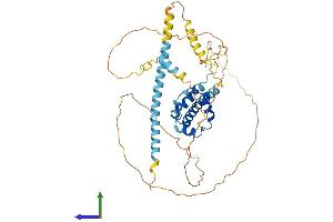 AlphaFold protein structure predicition of Human Recombinant BSDC1 Protein, UniprotID Q9NW68