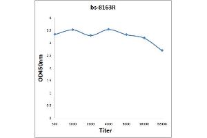 Antigen: 2 µg/100 µL Primary: Antiserum, 1:500, 1:1000, 1:2000, 1:4000, 1:8000, 1:16000, 1:32000, Secondary: HRP conjugated Rabbit Anti-Goat IgG at 1: 5000, TMB staining Read the data in Microplate Reader by 450 nm. (WRAP53 antibody  (AA 285-390))