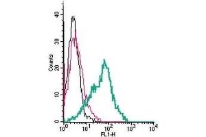 Cell surface detection of NrCAM by indirect flow cytometry in live intact human MEG-01 megakaryocytic leukemia cells:  (black line) Cells. (NrCAM antibody  (Extracellular, N-Term))