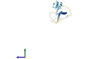 AlphaFold protein structure predicition of Human Recombinant IFT57 Protein, UniprotID Q9NWB7 (IFT57 Protein (AA 1-429) (His tag))