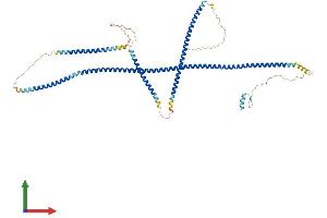 AlphaFold protein structure predicition of Mouse Recombinant Optn Protein, UniprotID Q8K3K8 (OPTN Protein (AA 1-584) (His tag))