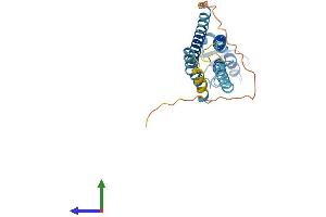 AlphaFold protein structure predicition of Human Recombinant GJB4 Protein, UniprotID Q9NTQ9