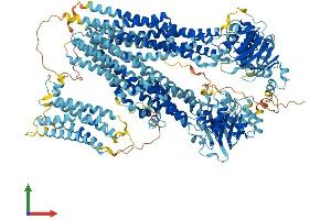 AlphaFold protein structure predicition of Human Recombinant ABCC10 Protein, UniprotID Q5T3U5 (ABCC10 Protein (AA 1-1492) (His tag))