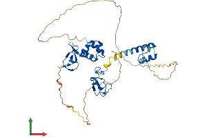 AlphaFold protein structure predicition of Human Recombinant RNF34 Protein, UniprotID Q969K3 (RNF34 Protein (AA 1-372) (His tag))