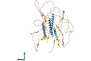 AlphaFold protein structure predicition of Human Recombinant CCDC120 Protein, UniprotID Q96HB5 (CCDC120 Protein (AA 1-630) (His tag))