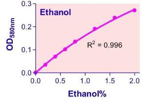 Biochemical Assay (BCA) image for Ethanol Assay Kit (ABIN1000261)