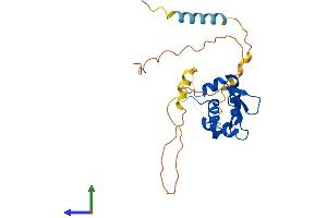 AlphaFold protein structure predicition of Human Recombinant SPIC Protein, UniprotID Q8N5J4