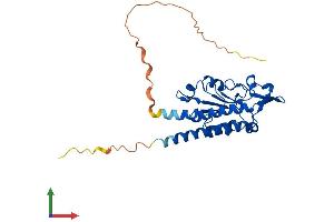 Protein Structure (PS) image for Mitochondrial Ribosomal Protein S2 (MRPS2) (AA 1-291) protein (His tag) (ABIN7560260)