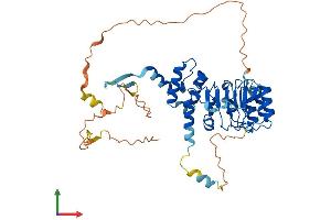 AlphaFold protein structure predicition of Human Recombinant LRRC42 Protein, UniprotID Q9Y546