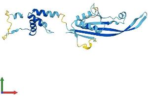 AlphaFold protein structure predicition of Mouse Recombinant Kctd11 Protein, UniprotID Q8K485 (KCTD11 Protein (AA 1-232) (His tag))