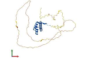 AlphaFold protein structure predicition of Mouse Recombinant Hoxc12 Protein, UniprotID Q8K5B8