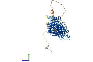 Protein Structure (PS) image for THUMP Domain Containing 3 (THUMPD3) (AA 1-507) protein (His tag) (ABIN7544376)