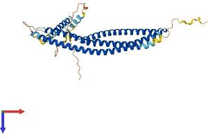 ARFIP2 Protein (AA 1-341) (His tag)