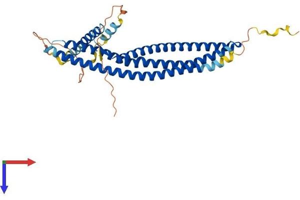 ARFIP2 Protein (AA 1-341) (His tag)