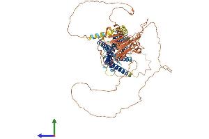 AlphaFold protein structure predicition of Mouse Recombinant Gpr149 Protein, UniprotID Q3UVY1
