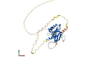 AlphaFold protein structure predicition of Mouse Recombinant Rem2 Protein, UniprotID Q8VEL9 (REM2 Protein (AA 1-341) (His tag))