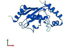 Protein Structure (PS) image for Ubiquitin-Conjugating Enzyme E2B (UBE2B) (AA 1-152) protein (His tag) (ABIN7544844)