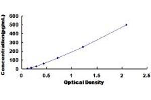 Typical standard curve (CCL8 ELISA Kit)