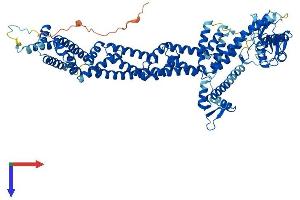 AlphaFold protein structure predicition of Human Recombinant CUL4A Protein, UniprotID Q13619 (Cullin 4A Protein (CUL4A) (AA 1-759) (His tag))
