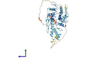 AlphaFold protein structure predicition of Human Recombinant ZNF730 Protein, UniprotID Q6ZMV8 (ZNF730 Protein (AA 1-503) (His tag))