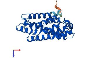 Glycolipid Transfer Protein Domain Containing 1 (GLTPD1) (AA 1-214) protein (His tag)