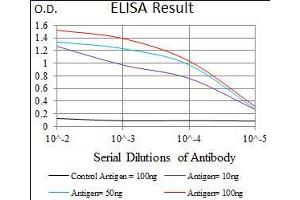 Black line: Control Antigen (100 ng), Purple line: Antigen(10 ng), Blue line: Antigen (50 ng), Red line: Antigen (100 ng), (DNAL4 antibody  (AA 1-105))