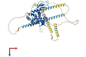 Dystrotelin (DYTN) (AA 1-578) protein (His tag)