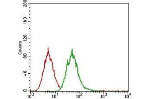 Flow cytometric analysis of A431 cells using EGFR mouse mAb (green) and negative control (red). (EGFR antibody  (AA 693-893))