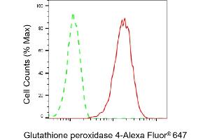 Flow cytometric analysis of Glutathione peroxidase 4 expression in HAP-1 cells using Glutathione peroxidase 4 antibody (ABIN7798753), 1:2,000). (Recombinant GPX4 antibody)