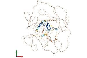 AlphaFold protein structure predicition of Mouse Recombinant Rnf111 Protein, UniprotID Q99ML9