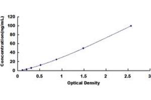 Anti-Myelin Oligodendrocyte Glycoprotein Antibody ELISA Kit