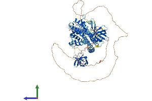 AlphaFold protein structure predicition of Mouse Recombinant Arhgap42 Protein, UniprotID B2RQE8 (ARHGAP42 Protein (AA 1-841) (His tag))