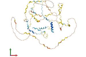 AlphaFold protein structure predicition of Human Recombinant WIPF1 Protein, UniprotID O43516