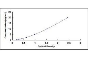 Typical standard curve (Angiotensin I Converting Enzyme 1 ELISA Kit)