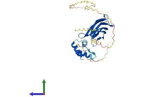 Protein Structure (PS) image for Nucleophosmin (Nucleolar phosphoprotein B23, Numatrin) (NPM1) (AA 1-292) protein (His tag) (ABIN7563934)