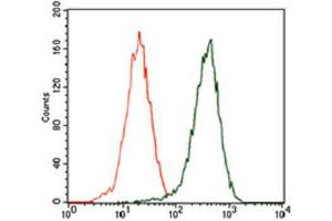 Flow Cytometry (FACS) image for anti-Sequestosome 1 (SQSTM1) (AA 232-356) antibody (ABIN1846090) (SQSTM1 antibody  (AA 232-356))