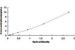 Typical standard curve (SUMF1 ELISA Kit)