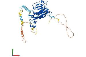 AlphaFold protein structure predicition of Human Recombinant METTL14 Protein, UniprotID Q9HCE5 (METTL14 Protein (AA 1-456) (His tag))