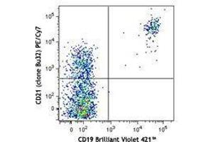 Flow Cytometry (FACS) image for anti-Complement Component (3d/Epstein Barr Virus) Receptor 2 (CR2) antibody (PE-Cy7) (ABIN2659181) (CD21 antibody  (PE-Cy7))