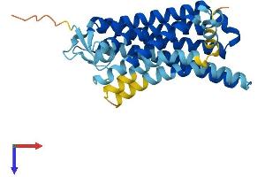 Olfactory Receptor, Family 7, Subfamily A, Member 2 Pseudogene (OR7A2P) (AA 1-310) protein (His tag)
