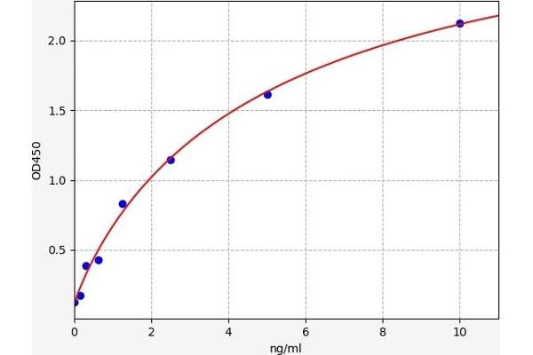 Erythroferrone (ERFE) ELISA Kit