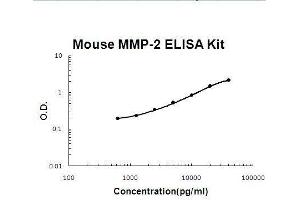 Mouse MMP-2 PicoKine ELISA Kit standard curve (MMP2 ELISA Kit)