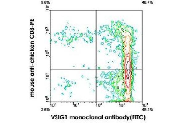 VSIG1 anticorps  (PE)