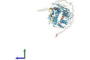 AlphaFold protein structure predicition of Human Recombinant ZNF680 Protein, UniprotID Q8NEM1